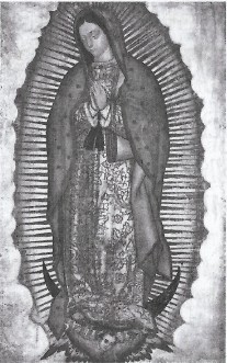 logo Maria