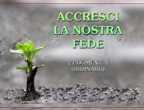 “C’era un uomo che possedeva un terreno  e vi piantò una vigna”