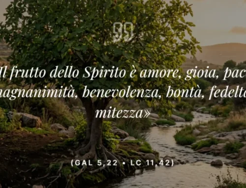 Meditazione del 14 Ottobre 2026